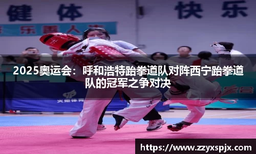 2025奥运会：呼和浩特跆拳道队对阵西宁跆拳道队的冠军之争对决